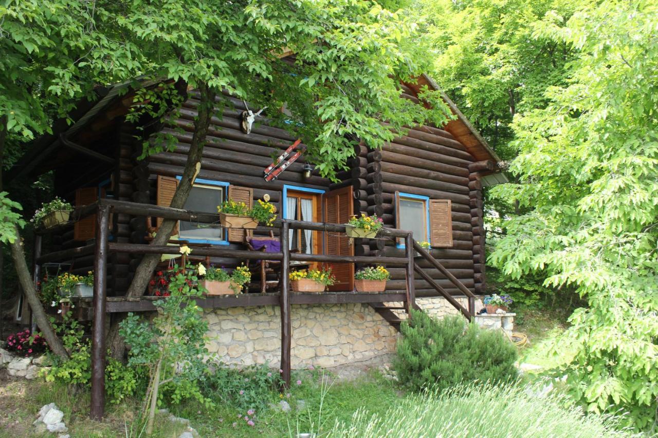 B&B Le Corone - Chalet Nel Bosco Cavalo Kültér fotó
