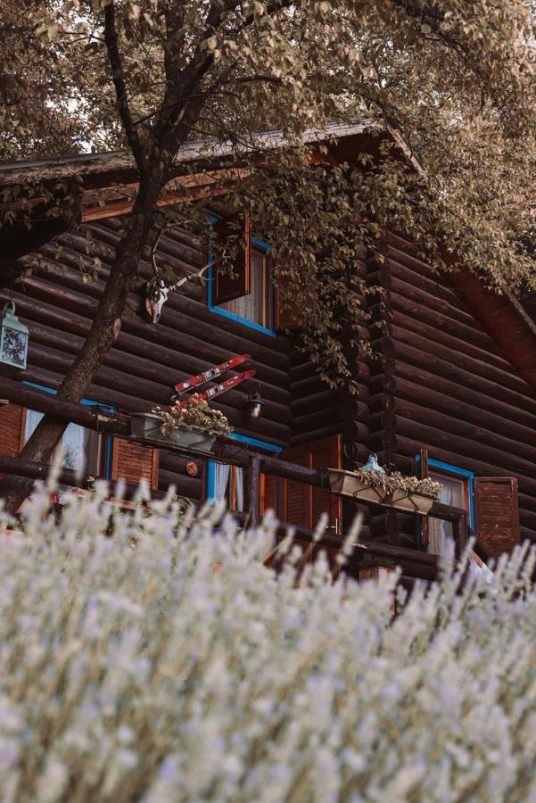 B&B Le Corone - Chalet Nel Bosco Cavalo Kültér fotó